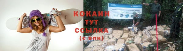 прущие крисы Алзамай
