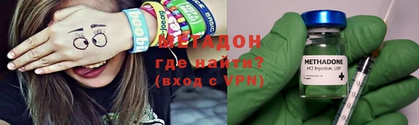 индика Алексин