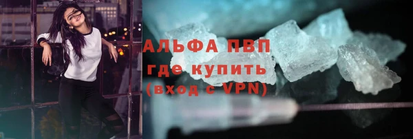 индика Алексин