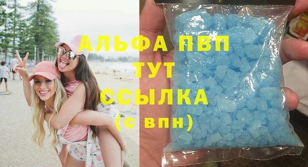 индика Алексин