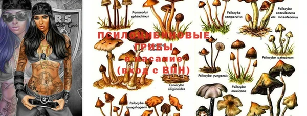 индика Алексин