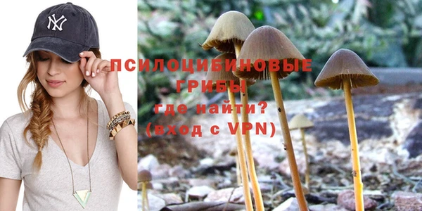 прущие крисы Алзамай