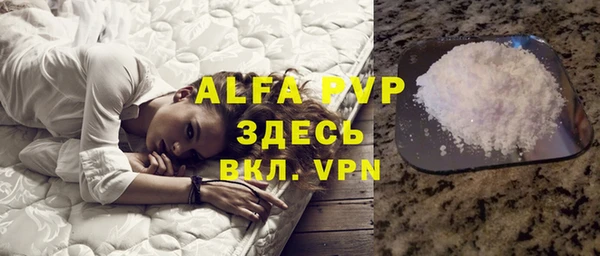 индика Алексин