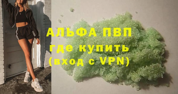 индика Алексин