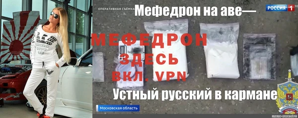 индика Алексин