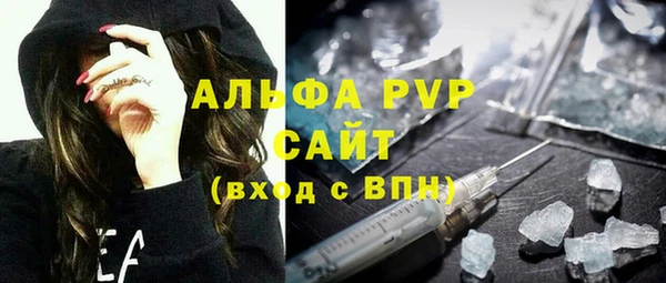 индика Алексин