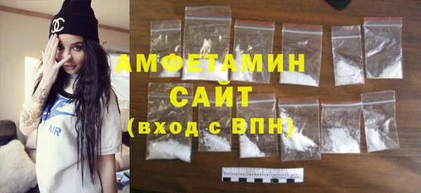 индика Алексин